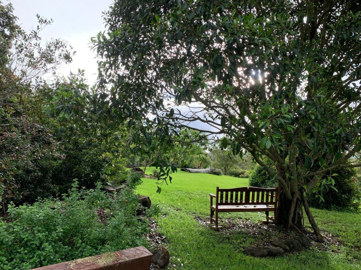 Cedarview Bed & Breakfast Beechmont Dış mekan fotoğraf